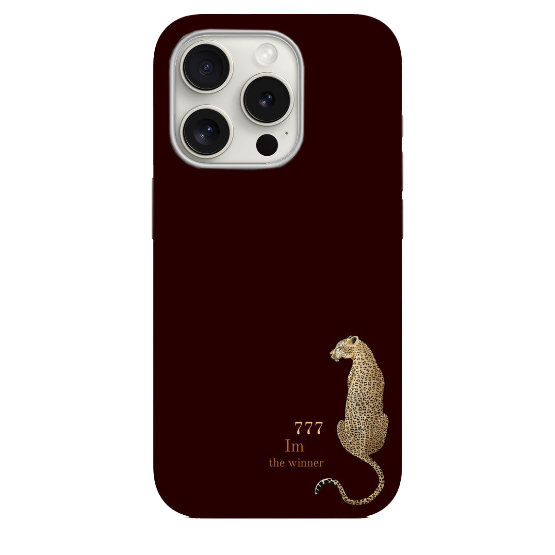 Desenli Lüx Premium Telefon Kılıfı 537
